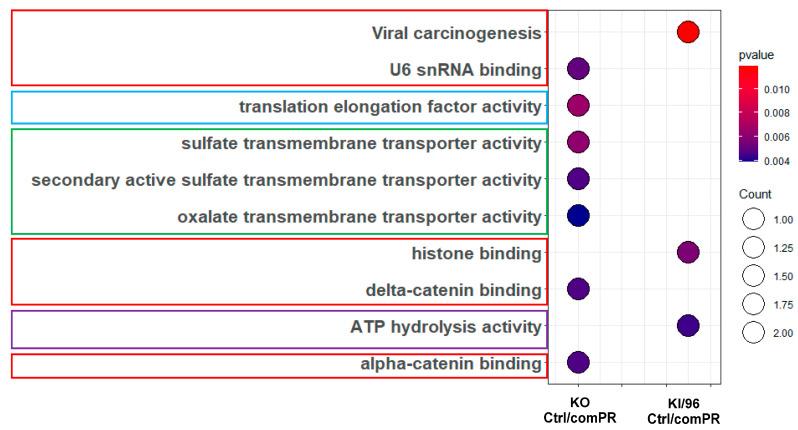 https://cdn.ncbi.nlm.nih.gov/pmc/blobs/f52d/11394482/e13668c6fb36/diagnostics-14-01895-g005.jpg