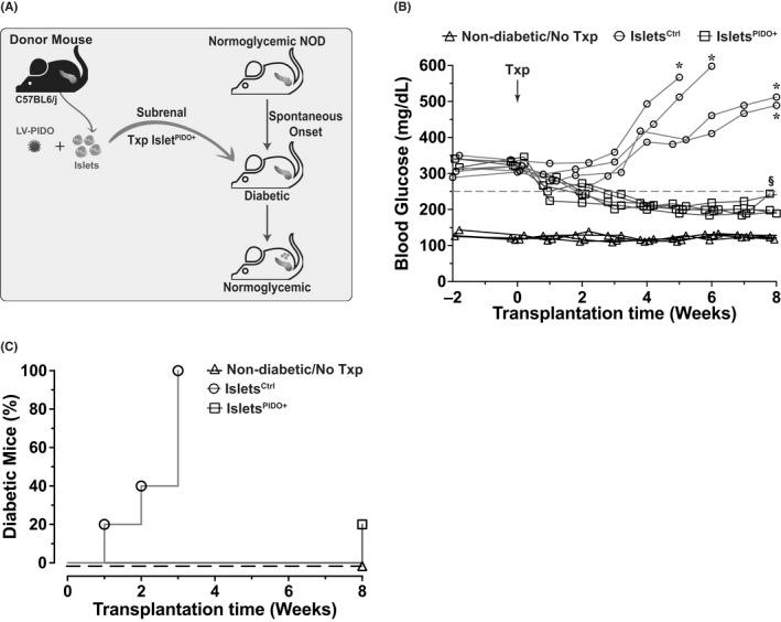https://cdn.ncbi.nlm.nih.gov/pmc/blobs/f52d/9804298/9c6d2677b2a6/AJT-22-2571-g007.jpg