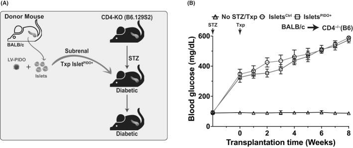 https://cdn.ncbi.nlm.nih.gov/pmc/blobs/f52d/9804298/ebf426159111/AJT-22-2571-g003.jpg