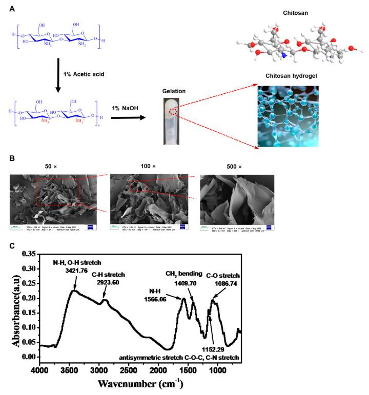 https://cdn.ncbi.nlm.nih.gov/pmc/blobs/f52e/10297230/16db038cf590/gels-09-00436-g001.jpg