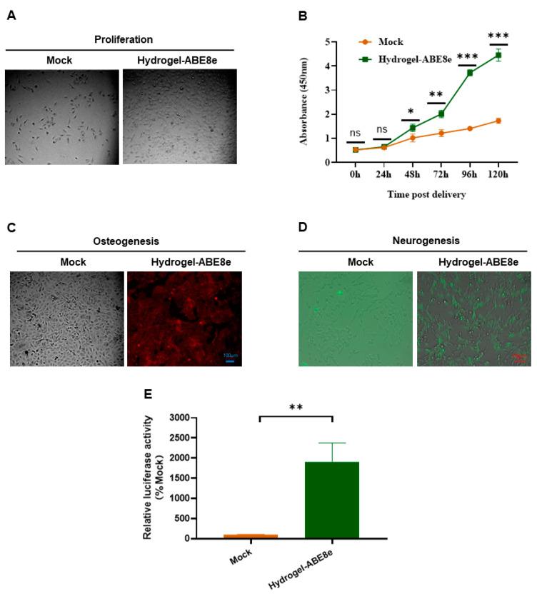 https://cdn.ncbi.nlm.nih.gov/pmc/blobs/f52e/10297230/2291c59ac4d9/gels-09-00436-g006.jpg