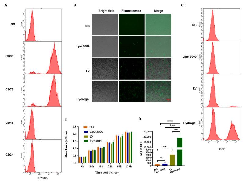 https://cdn.ncbi.nlm.nih.gov/pmc/blobs/f52e/10297230/f14df23172fa/gels-09-00436-g002.jpg