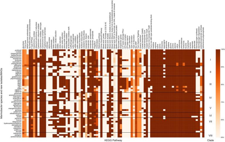 https://cdn.ncbi.nlm.nih.gov/pmc/blobs/f52e/9207381/a9cdb8044c21/fmicb-13-879116-g004.jpg