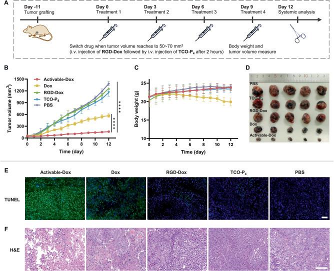 https://cdn.ncbi.nlm.nih.gov/pmc/blobs/f52f/10987521/66aa5ab9c1aa/41467_2024_47188_Fig6_HTML.jpg