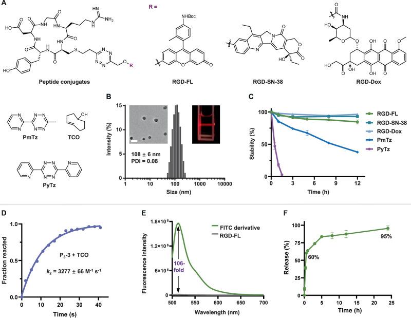 https://cdn.ncbi.nlm.nih.gov/pmc/blobs/f52f/10987521/79249efc07a7/41467_2024_47188_Fig3_HTML.jpg