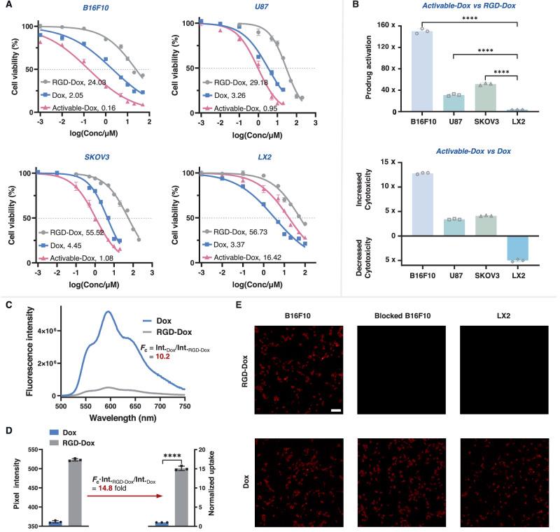 https://cdn.ncbi.nlm.nih.gov/pmc/blobs/f52f/10987521/82fded5a6377/41467_2024_47188_Fig5_HTML.jpg