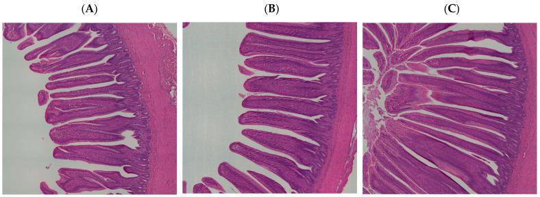https://cdn.ncbi.nlm.nih.gov/pmc/blobs/f52f/11240551/af9bba154c15/animals-14-01932-g005.jpg