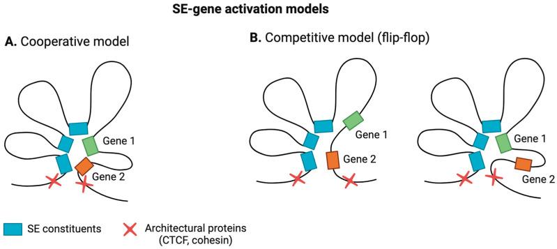 https://cdn.ncbi.nlm.nih.gov/pmc/blobs/f531/10969950/da28ad6c2e3b/ijms-25-03103-g002.jpg