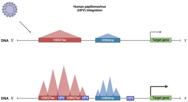 https://cdn.ncbi.nlm.nih.gov/pmc/blobs/f531/10969950/ee9afc1b7e31/ijms-25-03103-g007.jpg