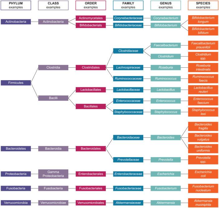 https://cdn.ncbi.nlm.nih.gov/pmc/blobs/f534/9679343/d6bd721cebb7/10.1177_17562848221134396-fig1.jpg