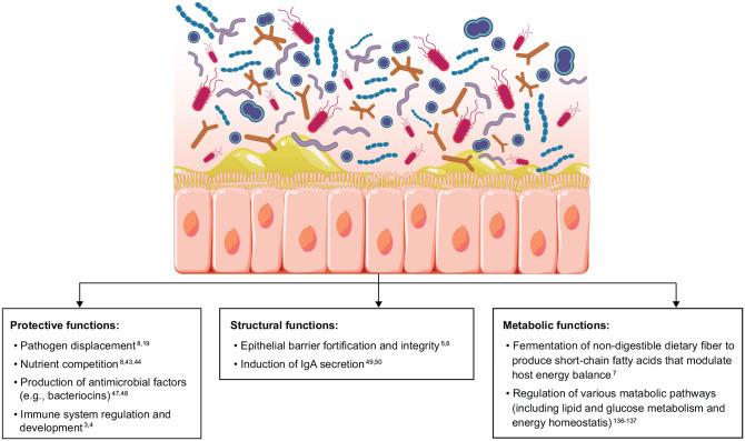 https://cdn.ncbi.nlm.nih.gov/pmc/blobs/f534/9679343/ef0fed7feaf0/10.1177_17562848221134396-fig2.jpg