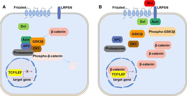 https://cdn.ncbi.nlm.nih.gov/pmc/blobs/f536/11072040/01f30ddd6e7f/18_2021_3941_Fig1_HTML.jpg