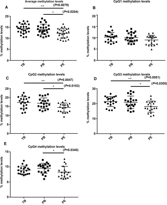 https://cdn.ncbi.nlm.nih.gov/pmc/blobs/f536/11072040/51c8b2fe24d9/18_2021_3941_Fig3_HTML.jpg