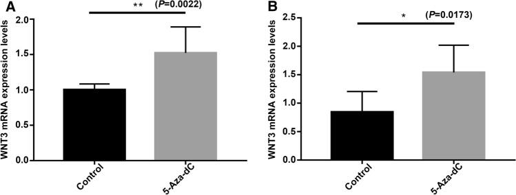 https://cdn.ncbi.nlm.nih.gov/pmc/blobs/f536/11072040/96a02dd26d3c/18_2021_3941_Fig6_HTML.jpg