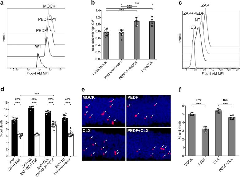 https://cdn.ncbi.nlm.nih.gov/pmc/blobs/f537/5948223/35cb3fdc1e0b/41419_2018_613_Fig1_HTML.jpg