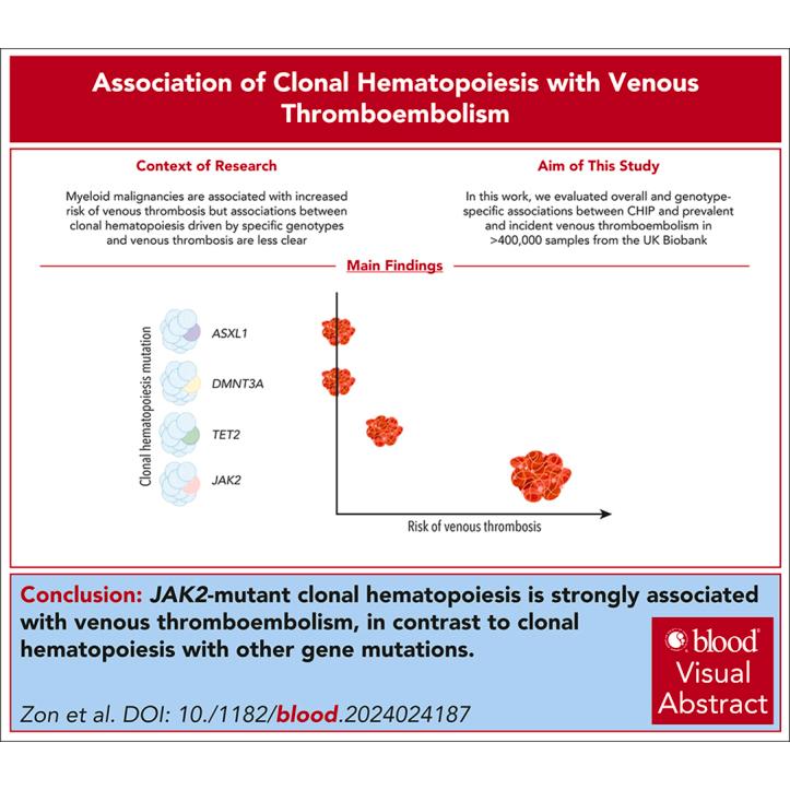 https://cdn.ncbi.nlm.nih.gov/pmc/blobs/f538/11600088/c08acb492a42/BLOOD_BLD-2024-024187-ga1.jpg