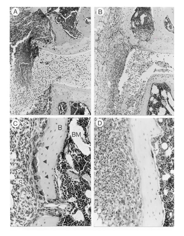 https://cdn.ncbi.nlm.nih.gov/pmc/blobs/f538/17779/c1146bd4bcc1/ar-1-1-081-8.jpg