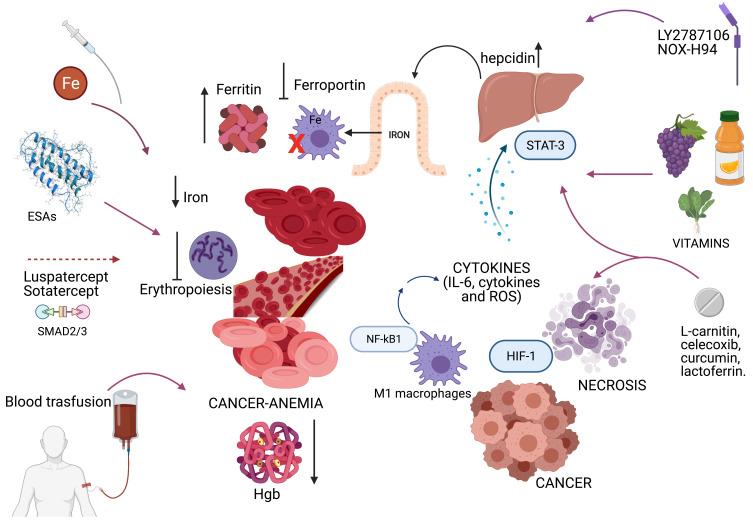 https://cdn.ncbi.nlm.nih.gov/pmc/blobs/f538/8238072/b58cf4775fc3/JEP-13-593-g0001.jpg