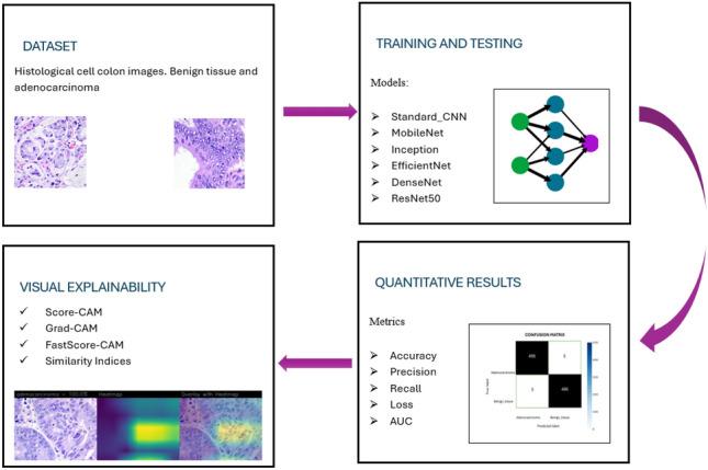 https://cdn.ncbi.nlm.nih.gov/pmc/blobs/f539/11222371/550b42bc3360/41598_2024_63659_Fig1_HTML.jpg