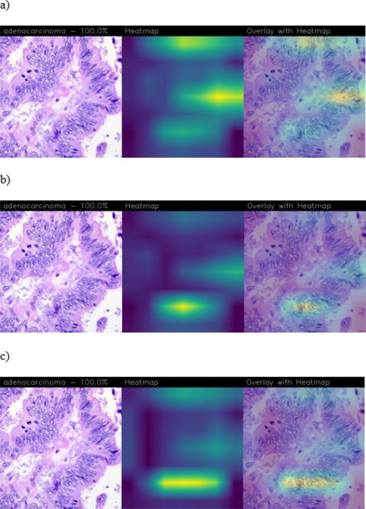 https://cdn.ncbi.nlm.nih.gov/pmc/blobs/f539/11222371/c747b7fe7cb0/41598_2024_63659_Fig6_HTML.jpg
