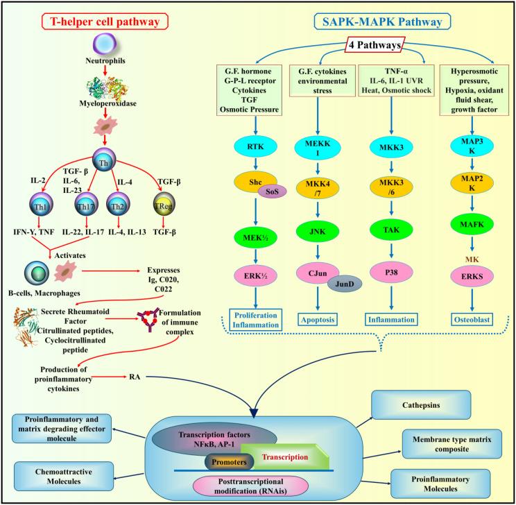 https://cdn.ncbi.nlm.nih.gov/pmc/blobs/f539/12291358/0f938e1beb90/13036_2025_534_Fig2_HTML.jpg