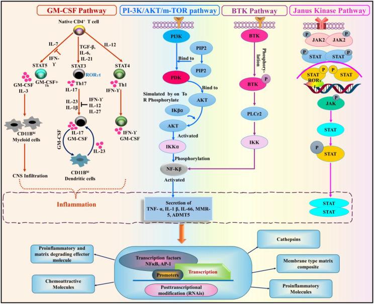 https://cdn.ncbi.nlm.nih.gov/pmc/blobs/f539/12291358/2c3e8ccb6de9/13036_2025_534_Fig3_HTML.jpg