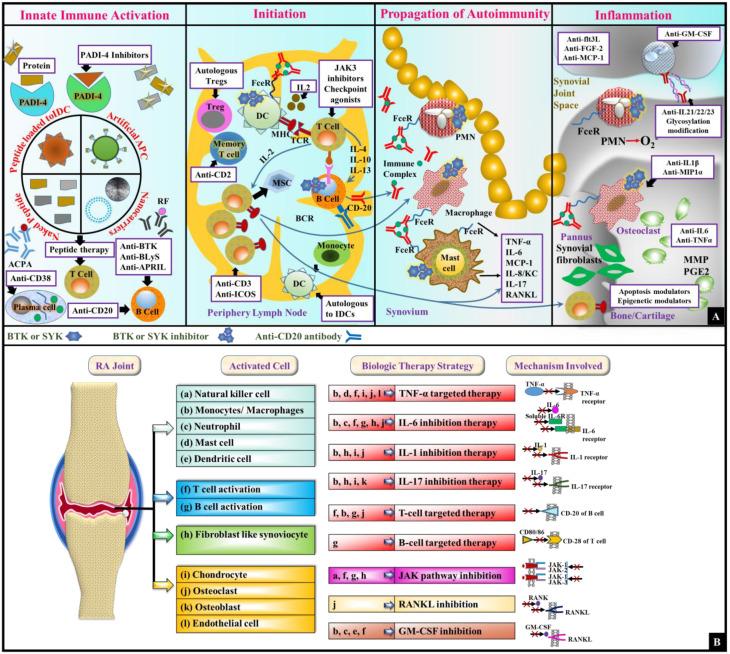 https://cdn.ncbi.nlm.nih.gov/pmc/blobs/f539/12291358/35d54224a8c9/13036_2025_534_Fig12_HTML.jpg