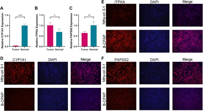 https://cdn.ncbi.nlm.nih.gov/pmc/blobs/f53c/9846547/a2d894af5101/fgene-13-972950-g011.jpg