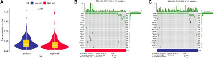 https://cdn.ncbi.nlm.nih.gov/pmc/blobs/f53c/9846547/bbd5c7af53df/fgene-13-972950-g010.jpg