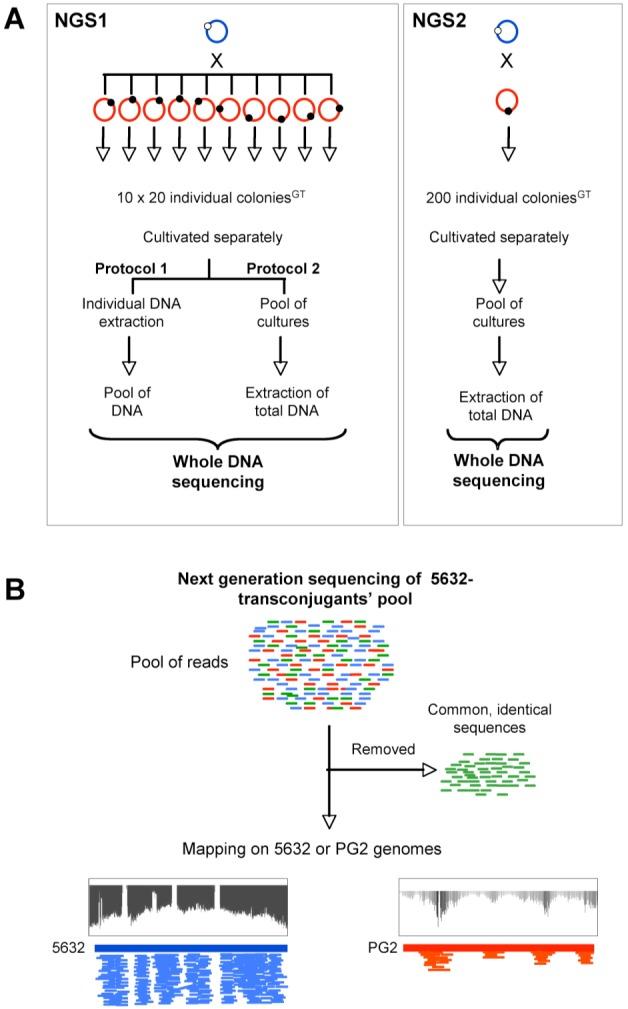 https://cdn.ncbi.nlm.nih.gov/pmc/blobs/f53d/4251992/c949597c9104/mbo0061420750002.jpg