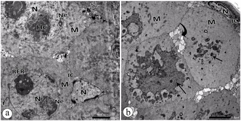 https://cdn.ncbi.nlm.nih.gov/pmc/blobs/f53d/7647063/2f77db88bd17/pone.0241837.g007.jpg