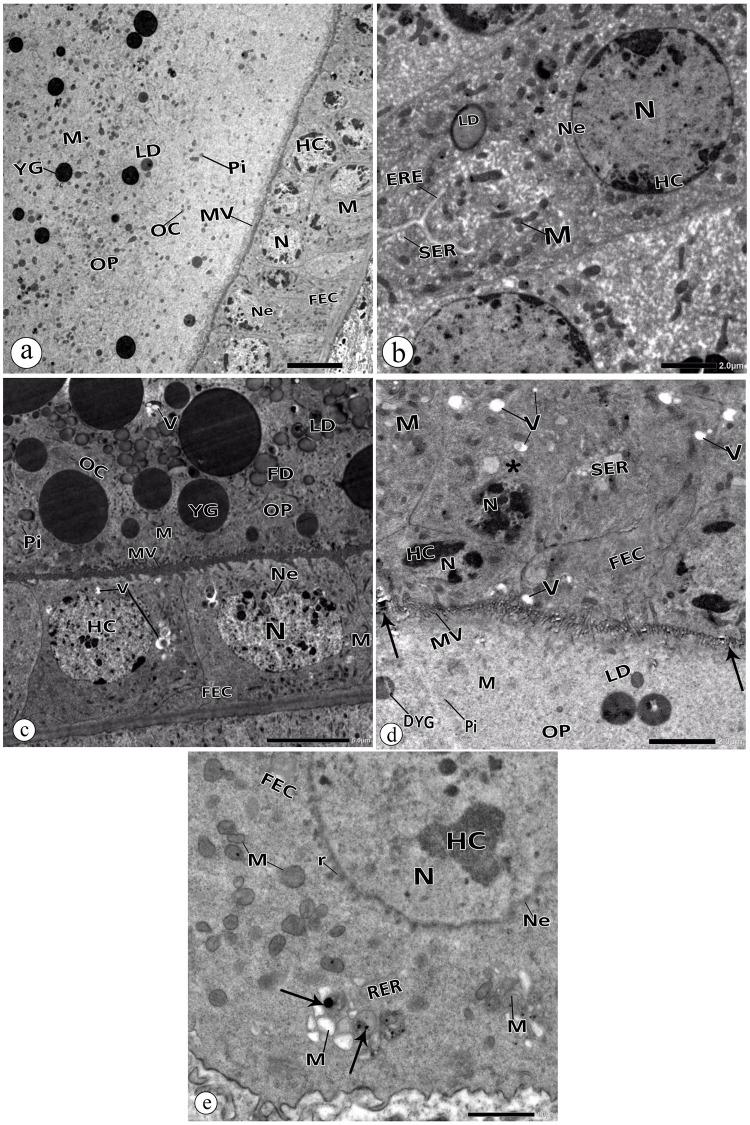 https://cdn.ncbi.nlm.nih.gov/pmc/blobs/f53d/7647063/a21480cf65d9/pone.0241837.g008.jpg