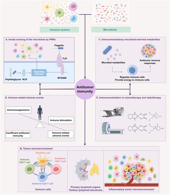 https://cdn.ncbi.nlm.nih.gov/pmc/blobs/f53f/12187360/df047a36372a/research.0744.fig.001.jpg