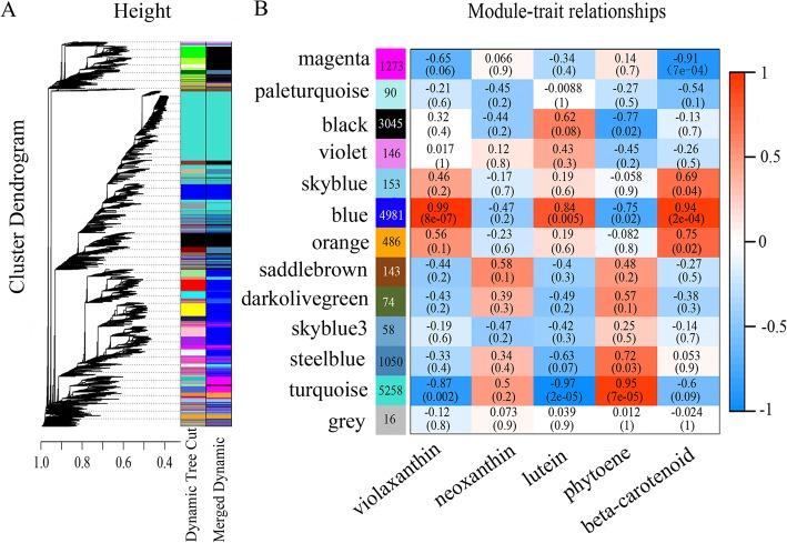https://cdn.ncbi.nlm.nih.gov/pmc/blobs/f541/6865023/2c50a4206e30/12864_2019_6261_Fig4_HTML.jpg