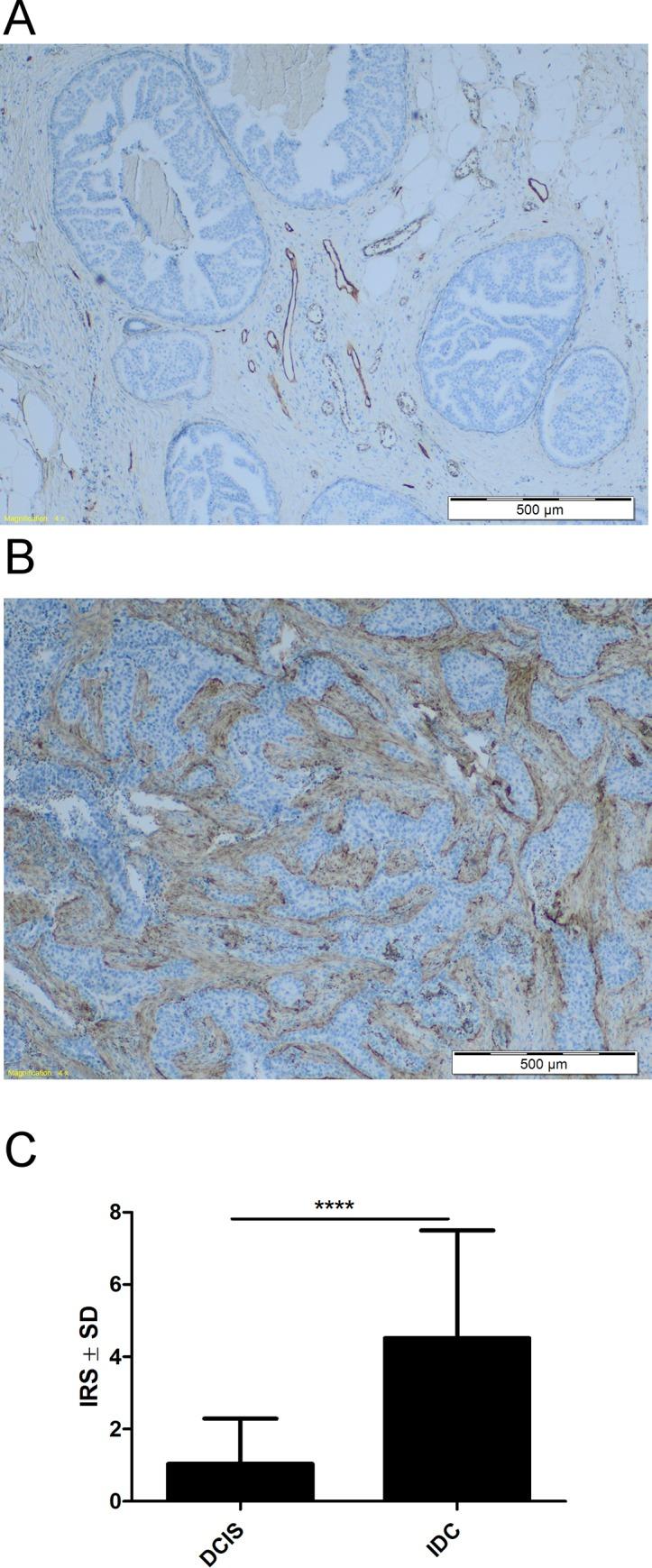 https://cdn.ncbi.nlm.nih.gov/pmc/blobs/f542/5609749/70cf7c2d3708/pone.0184970.g008.jpg