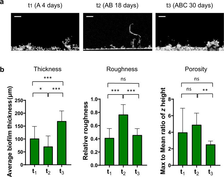 https://cdn.ncbi.nlm.nih.gov/pmc/blobs/f545/9307524/1f47b70e3486/41522_2022_322_Fig3_HTML.jpg