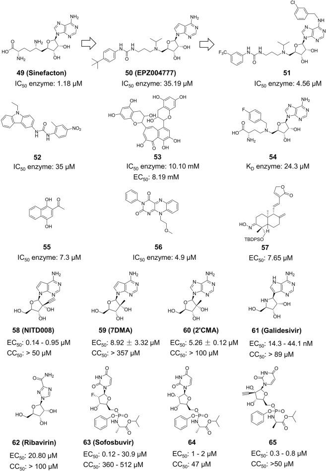 https://cdn.ncbi.nlm.nih.gov/pmc/blobs/f547/11246971/2d3cdfb0ea40/fphar-15-1418516-g012.jpg