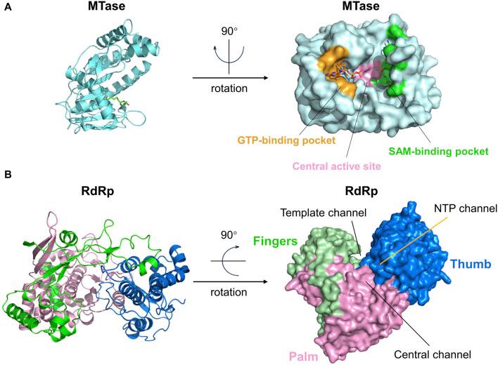 https://cdn.ncbi.nlm.nih.gov/pmc/blobs/f547/11246971/34d2f685089a/fphar-15-1418516-g008.jpg