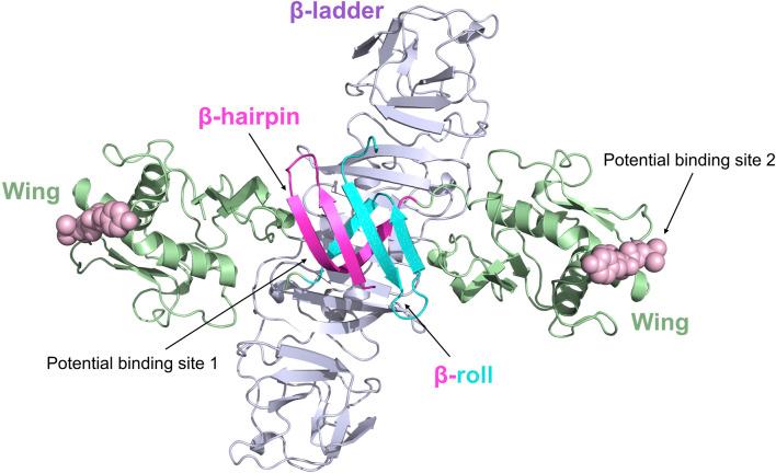 https://cdn.ncbi.nlm.nih.gov/pmc/blobs/f547/11246971/f71344967108/fphar-15-1418516-g006.jpg
