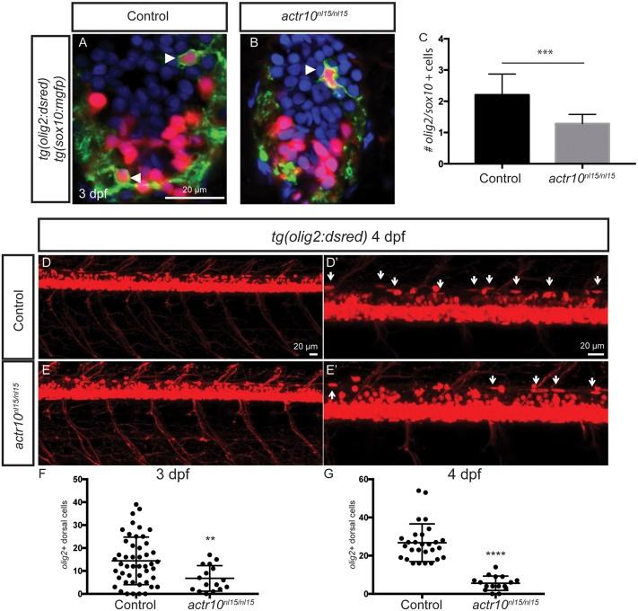 https://cdn.ncbi.nlm.nih.gov/pmc/blobs/f549/5664533/7b4190700a78/pnas.1711088114fig03.jpg