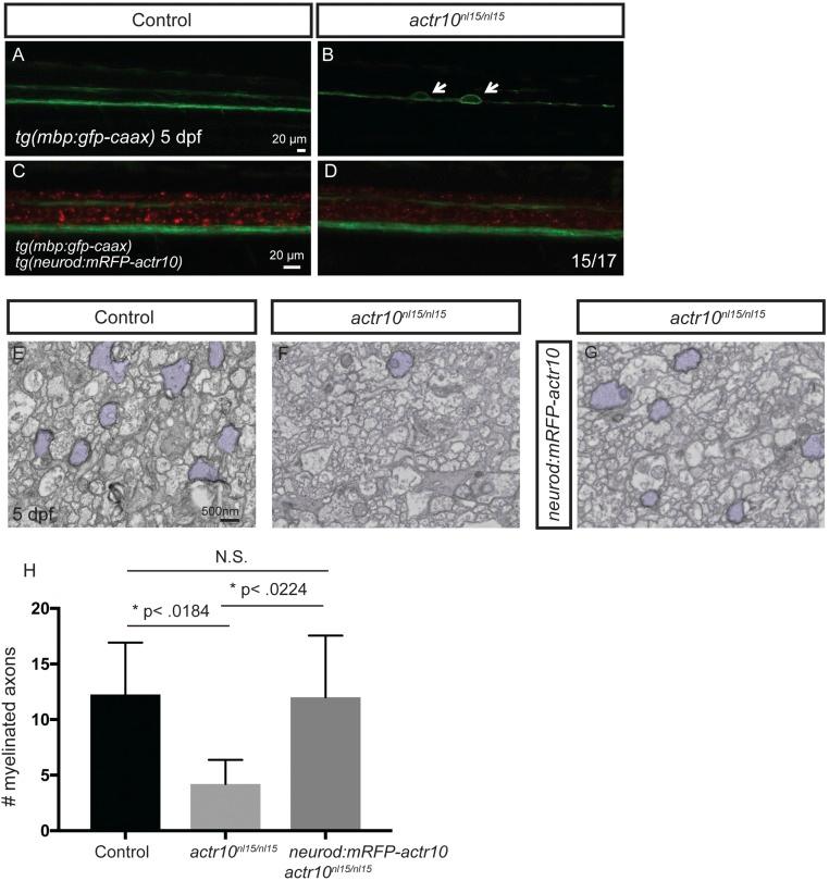 https://cdn.ncbi.nlm.nih.gov/pmc/blobs/f549/5664533/ee6a4d3e4864/pnas.1711088114sfig03.jpg