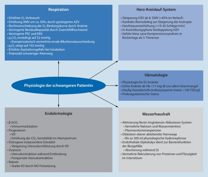https://cdn.ncbi.nlm.nih.gov/pmc/blobs/f54c/8935102/3792ba6efb66/63_2022_910_Fig2_HTML.jpg