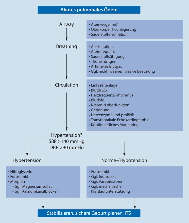 https://cdn.ncbi.nlm.nih.gov/pmc/blobs/f54c/8935102/3fe101c430b4/63_2022_910_Fig4_HTML.jpg