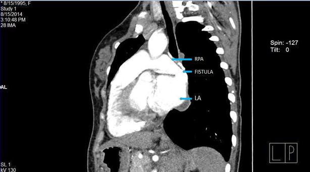 https://cdn.ncbi.nlm.nih.gov/pmc/blobs/f550/4619514/098700ca0bef/13104_2015_1593_Fig3_HTML.jpg