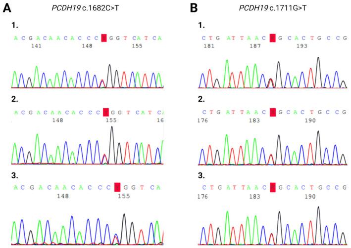 https://cdn.ncbi.nlm.nih.gov/pmc/blobs/f556/11171991/2f45408ebd3c/ijms-25-05732-g004.jpg