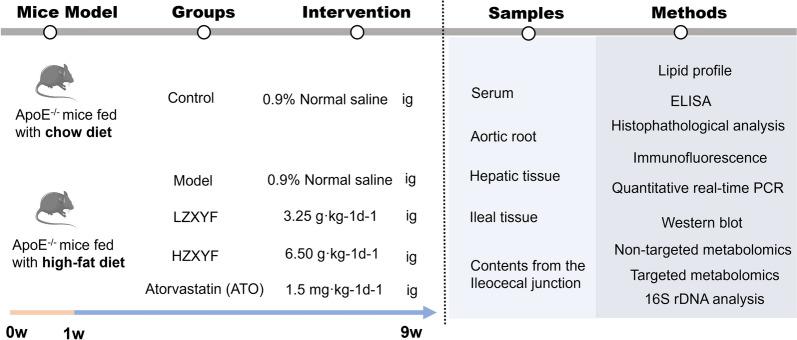 https://cdn.ncbi.nlm.nih.gov/pmc/blobs/f556/12103746/2692bfd9a94d/13020_2025_1116_Fig1_HTML.jpg