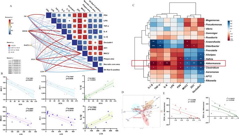 https://cdn.ncbi.nlm.nih.gov/pmc/blobs/f556/12103746/dc7ed6ab5e5a/13020_2025_1116_Fig7_HTML.jpg