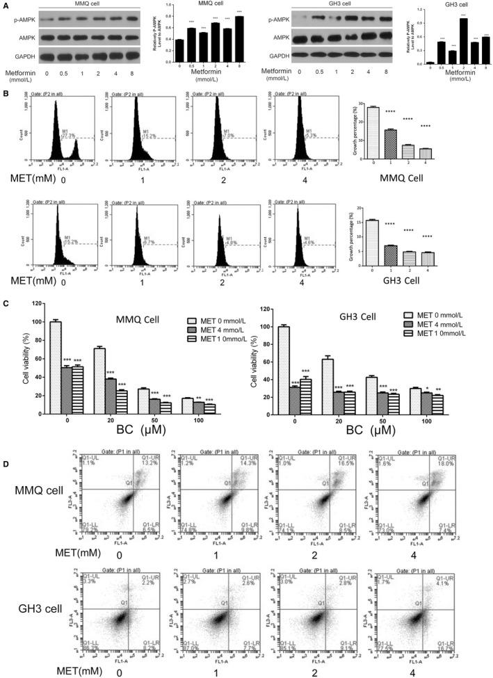 https://cdn.ncbi.nlm.nih.gov/pmc/blobs/f556/6237574/7f60958637c4/JCMM-22-6368-g003.jpg