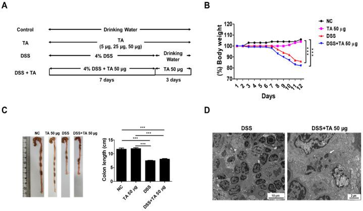 https://cdn.ncbi.nlm.nih.gov/pmc/blobs/f557/12030069/feda6978cb67/pathogens-14-00366-g007.jpg