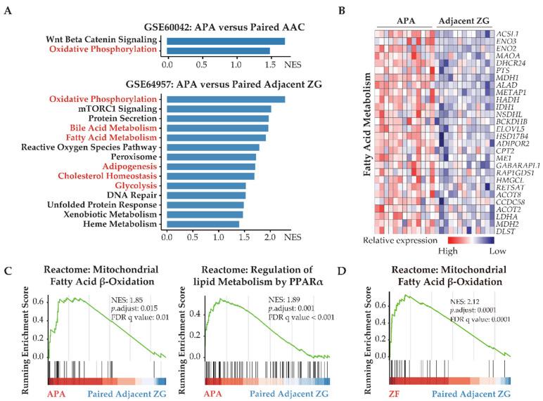 https://cdn.ncbi.nlm.nih.gov/pmc/blobs/f558/8345059/0c4f5e6e9fb0/cancers-13-03716-g001.jpg